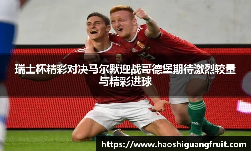 瑞士杯精彩对决马尔默迎战哥德堡期待激烈较量与精彩进球
